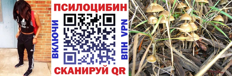 Псилоцибиновые грибы прущие грибы где продают наркотики Лермонтов